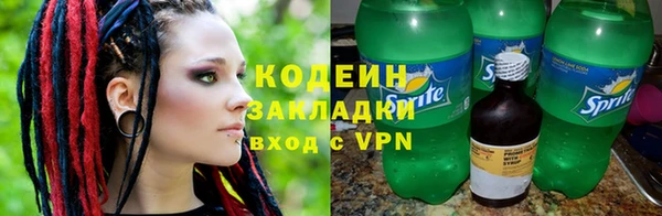 индика Костерёво