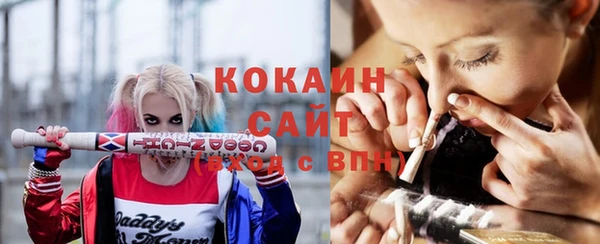 индика Костерёво