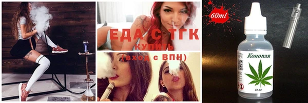 индика Коряжма