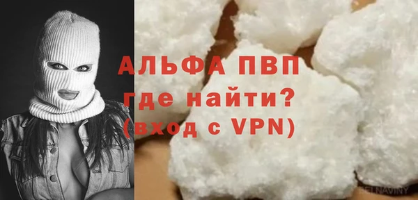 индика Костерёво
