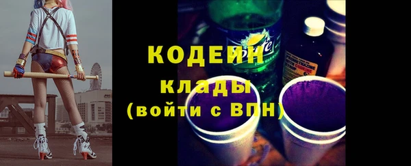 индика Коряжма