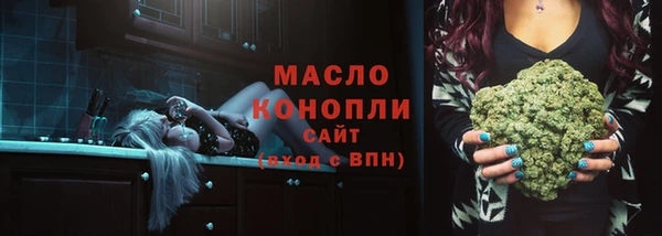 индика Коряжма