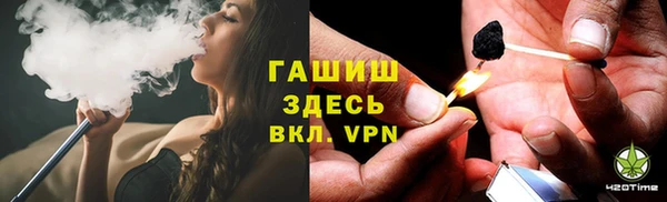 индика Коряжма