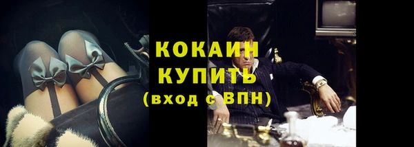 индика Костерёво