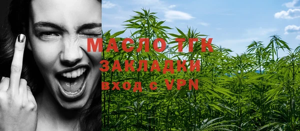 индика Коряжма
