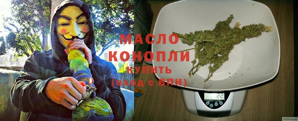 индика Костерёво