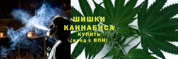 индика Костерёво