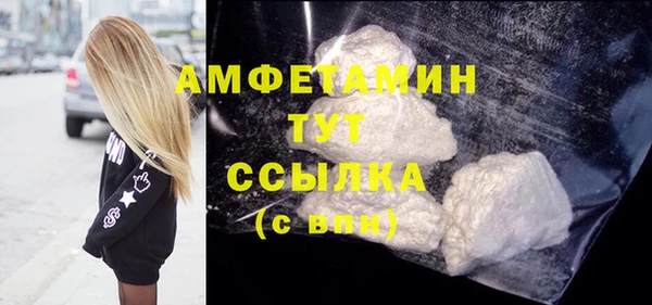 индика Коряжма