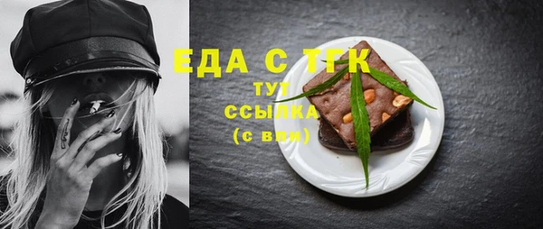 индика Костерёво