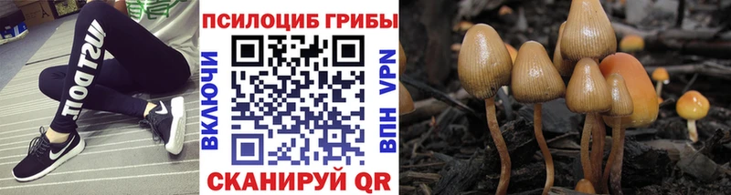 Купить закладки  Сафоново  Галлюциногенные грибы Magic Shrooms 